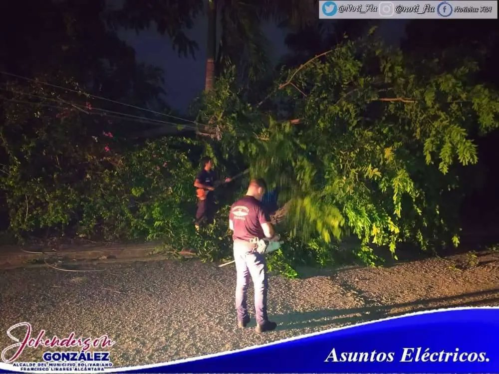 Noti_Fla's tweet photo. #Noti_Fla 📰🗞 📢 | La Dirección de asuntos eléctricos actuando de manera conjunta con @ProteccionFLA, desde la comunidad Hugo Peña donde un árbol cayó en avanzadas horas de la noche sobre el tendido eléctrico motivado por los fuertes vientos...

#ProducciónPorLaPatria https://t.co/5qzy350lyy