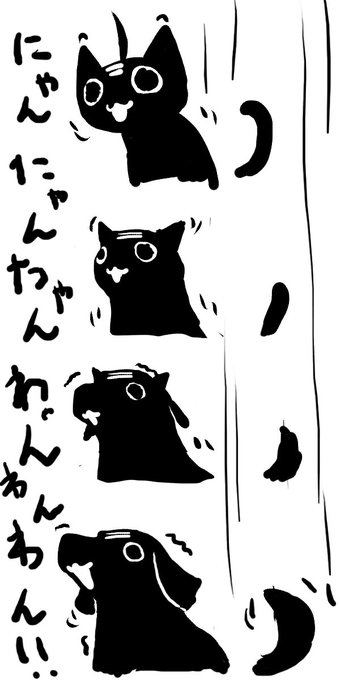 @Mightyc21cb @avaitionn わっふっふ
バレわんこしたようわんね
(画像提供ANAGO) 