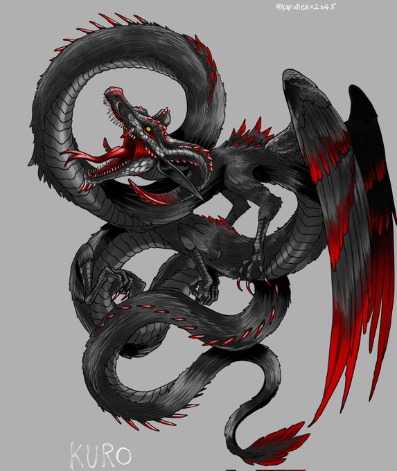 黒龍のtwitterイラスト検索結果