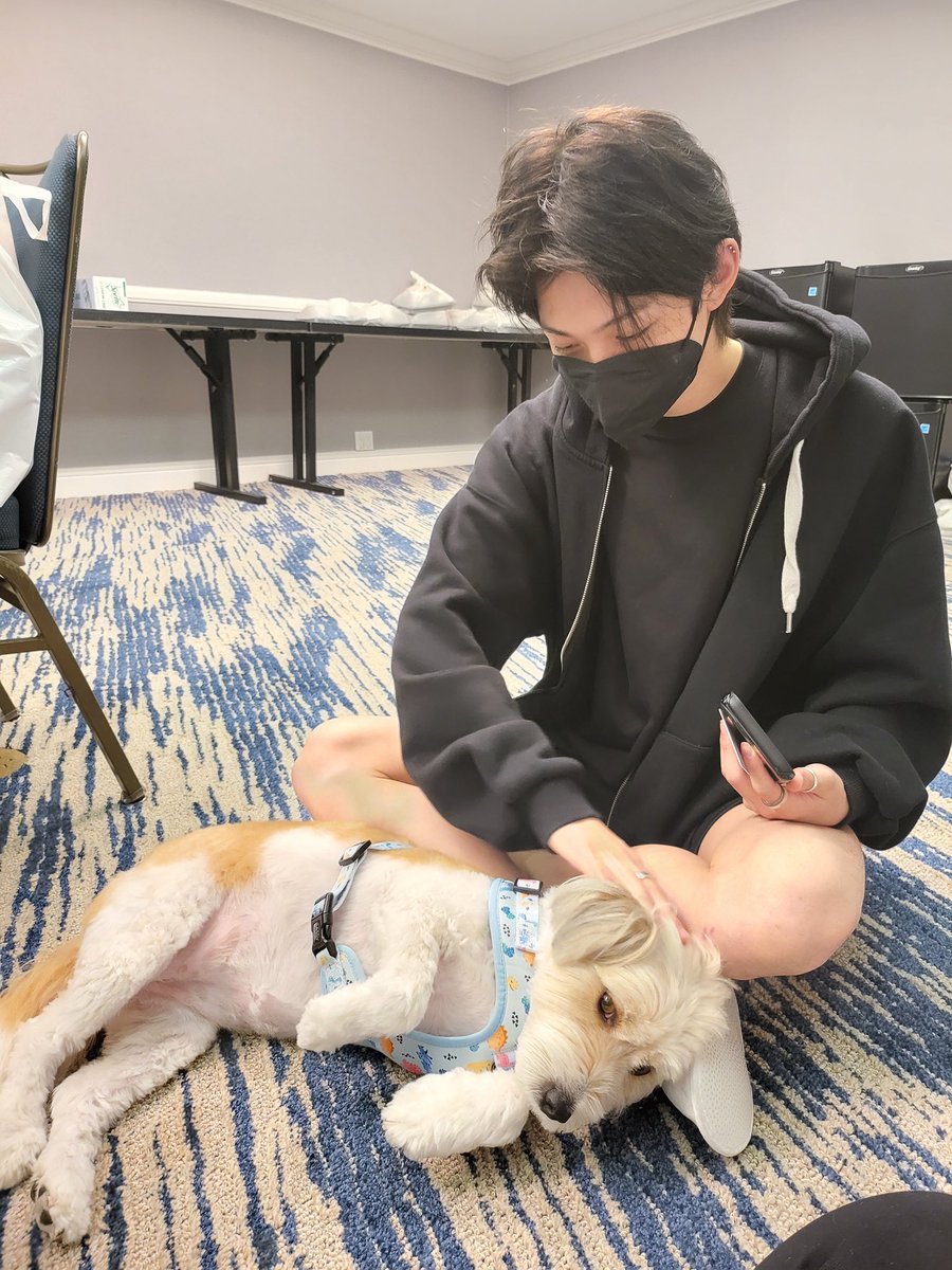thinkerfeIix's tweet photo. how am I not meant to cry over this https://t.co/2YKrSBffSX