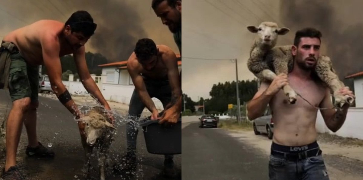 amds75cr7's tweet image. Au Portugal 🇵🇹 les habitants font le maximum pour sauver tout le monde ♥️