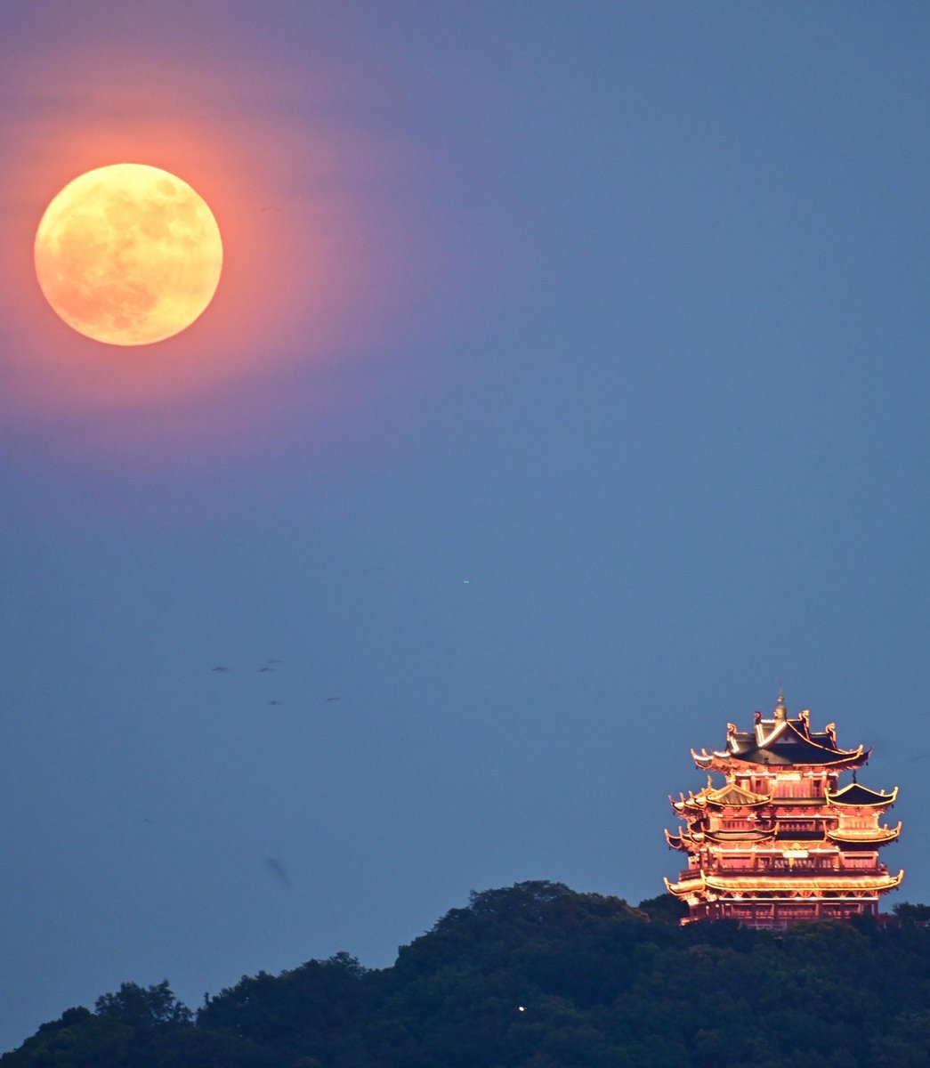 ricecheer33's tweet photo. magnificent moon https://t.co/bfu36fRwyM