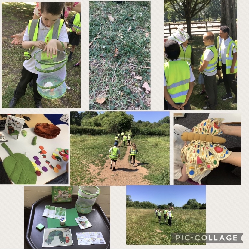 Kingsbury_Ac's tweet photo. Class 2P really enjoyed watching our caterpillars change into butterflies. We loved releasing them at Coombe Abbey. As a treat we visited a famous chip shop! https://t.co/reZ2i3QGem