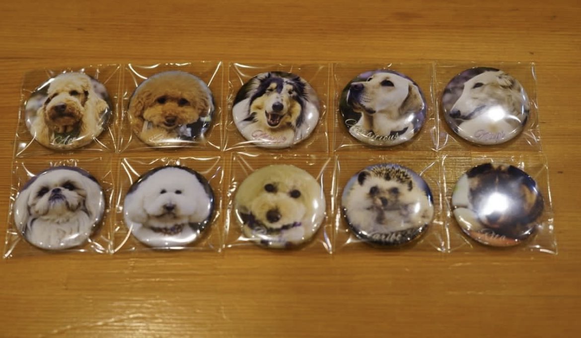 いぬかふぇ まいら Cafemaera Twitter