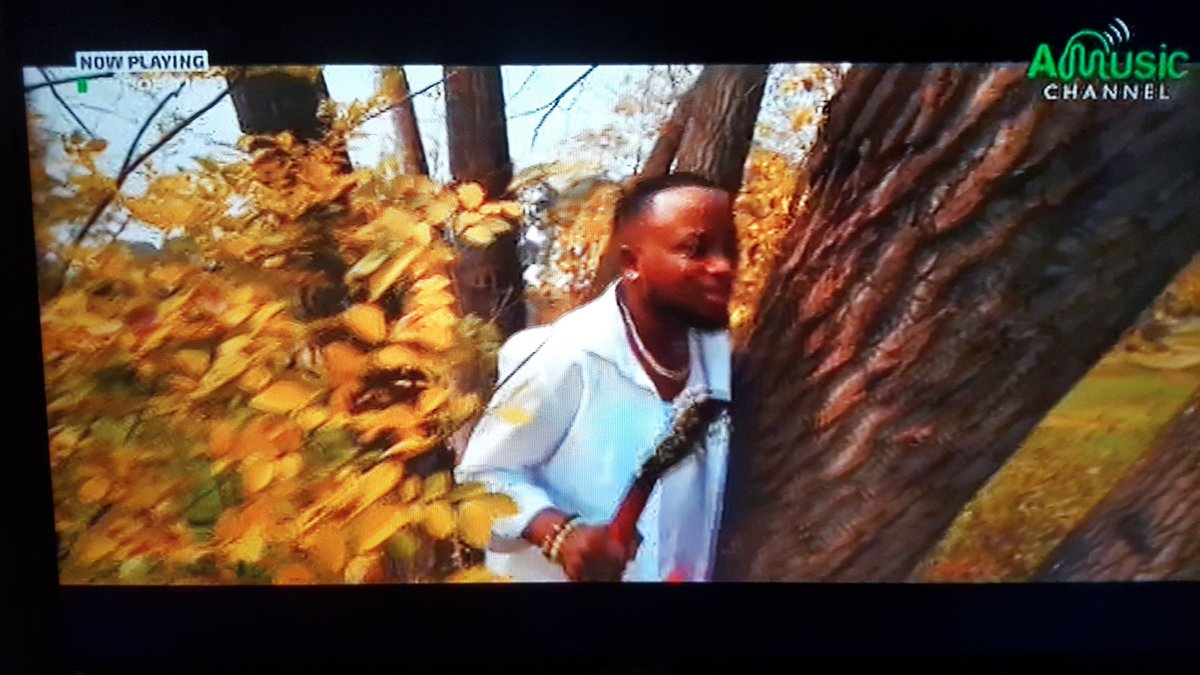 MMLTPromotions's tweet photo. #Obinrin by @AdolOrin #NP on Amcngtv #Outof9ja cc @iAlhajisneh https://t.co/VWvb8hN61n