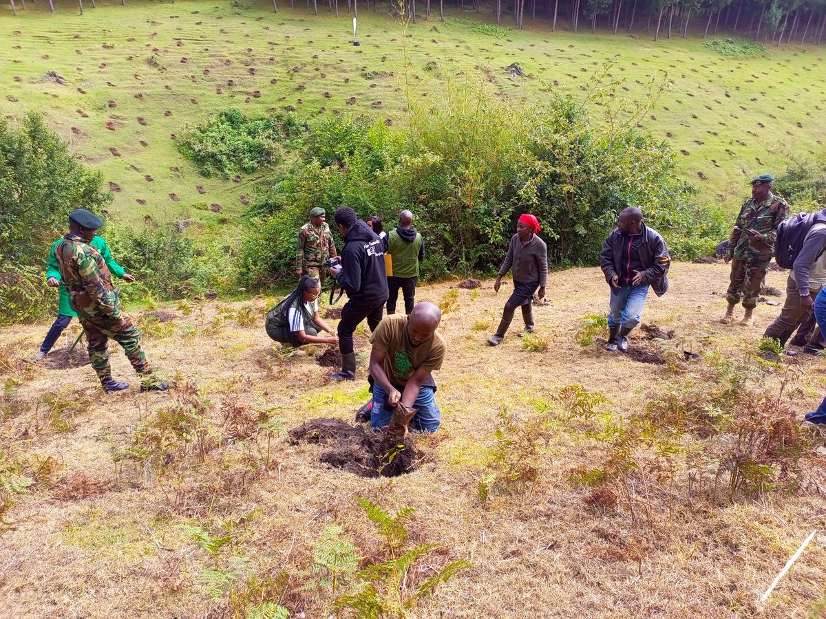 titus_kims's tweet photo. Yesterday @Dedankm in conjuction with @KeForestService planted over 30K seedlings in Ragio Forest in Kiambu county.Present were CEO @evakimathi , CCF Mr.Kamau @CCF_Kenya leading the entire @KeForestService,@kdfinfo ,environment ministers from @KiambuCountyGov and @NyandaruaCG018 https://t.co/S7MNmNBtTs