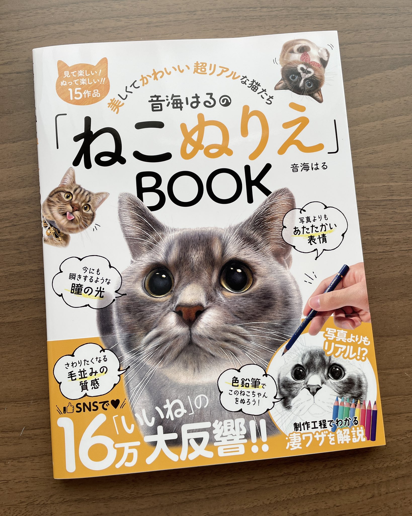 Tweets With Replies By 公式 忠津陽子ぬりえbook Tadatsuyokobook Twitter