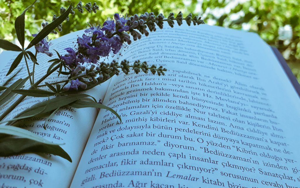 'Kibrin olduğu yerde fikir barınamaz'

@yenisafakwriter
#yolharitası

İnsan bir cümle ile vurulur, bir cümle ile dirilir mi?