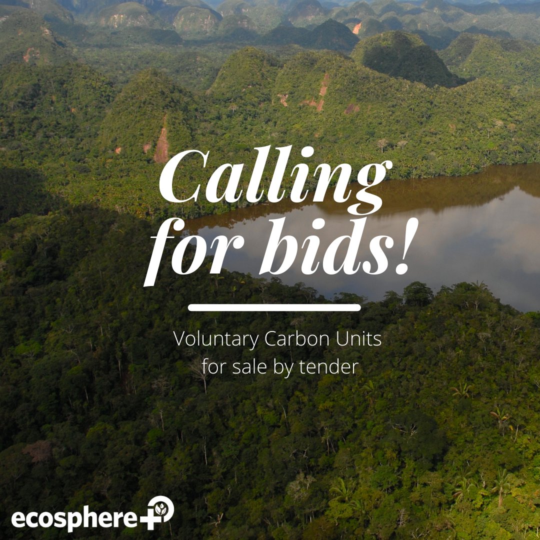 Calling for bids! VCS &amp; CCB gold level Voluntary Carbon Units from a leading Peruvian REDD+ project FOR SALE BY INNOVATIVE TENDER. 🌳

See here for more information on terms, project details  to submit: lnkd.in/exCZYwKN

#carbonmarket #voluntarycarbonmarket #carboncredits