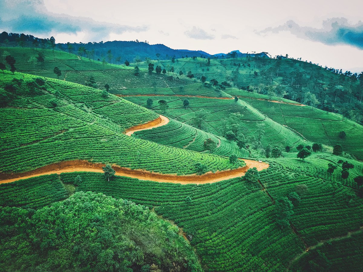 antolibere's tweet photo. Lo #SriLanka è un sull'orlo del baratro. Cosa sta succedendo nel paese? Ne parla in questa intervista @ManuMangiarotti dell'@unipv : https://t.co/3HofppieWV https://t.co/m5QyrhD0Ca