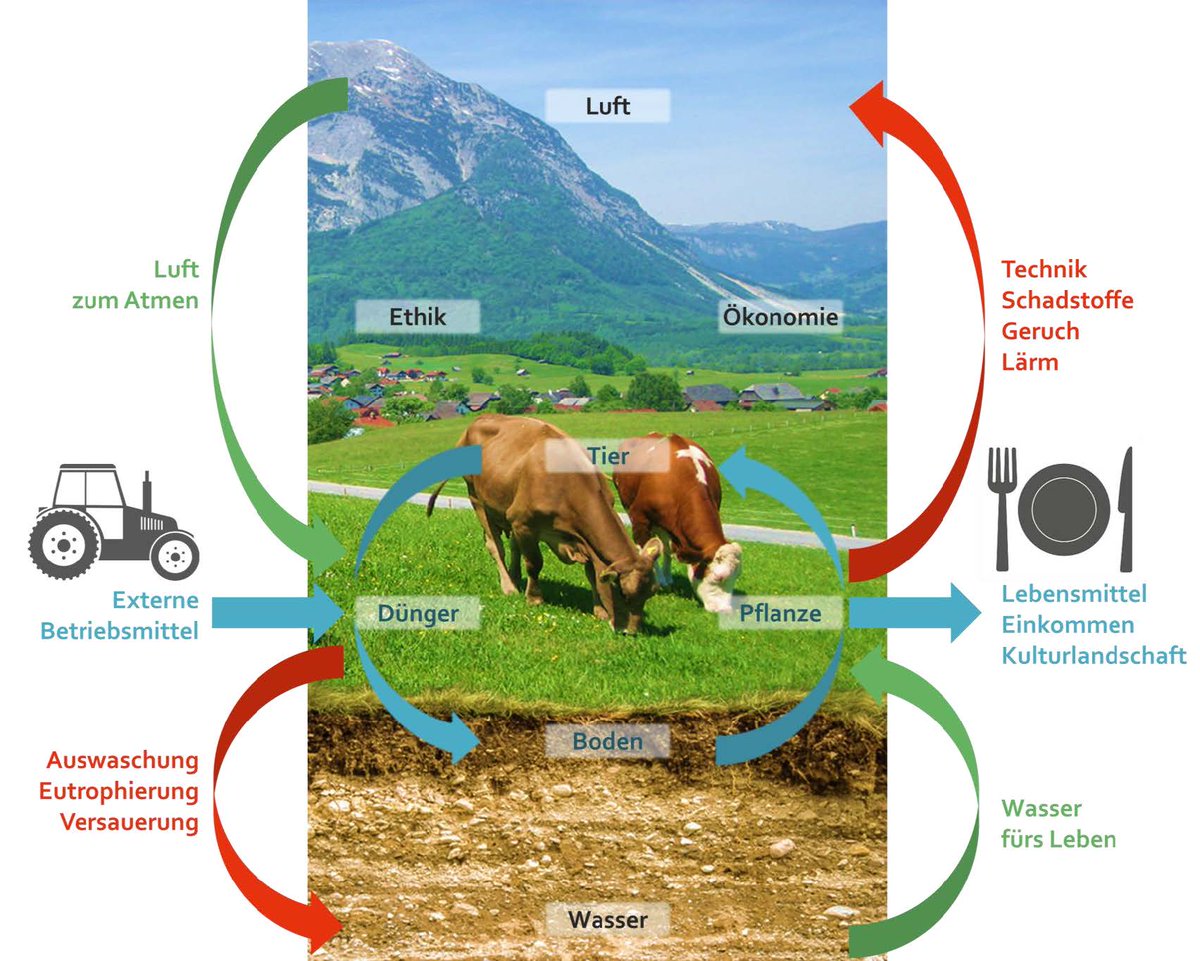 Offene Stelle als Wissenschaftliche/r Mitarbeiter/in!! Infos: raumberg-gumpenstein.at/forschung/fors…