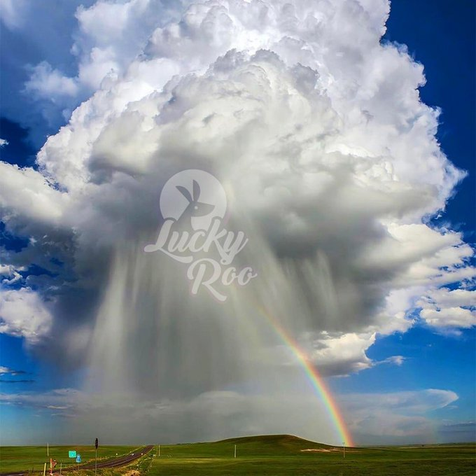 cryptogulsa's tweet image. Pot of gold is at the end of the rainbow @LuckyRooToken #LuckyRooToken #LuckyRoo #RooTroop #SaitaPro #Blockchain #Crypto #BSCGems #BSC #BNB #BNBChain #1000xgem #1000Xgems #Ethereum #Bitcoin #Saitama