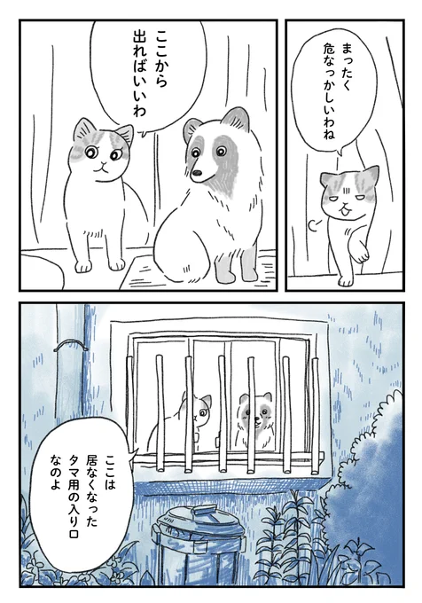 <たぬきのタマ>⓱
都会に生きるたぬきの兄弟の"タマ"のお話🦝

続きは来週木曜日、21時です🌃 