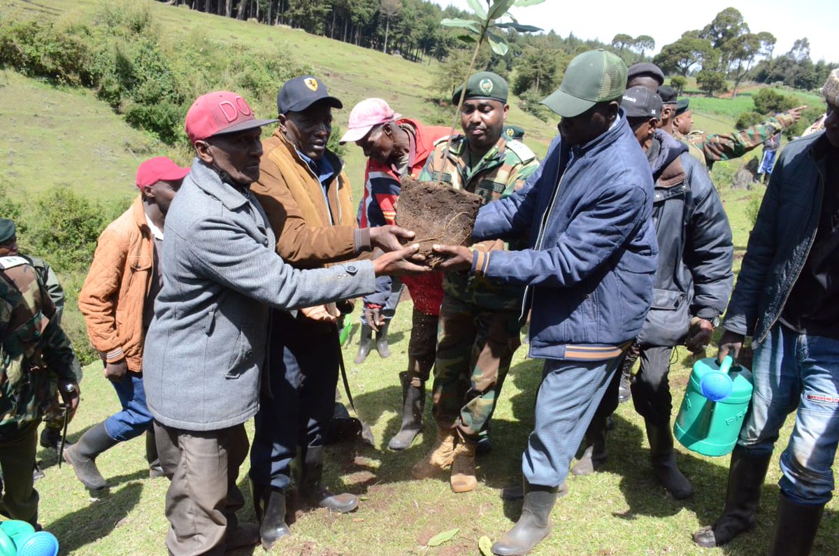 Karasinga3's tweet photo. RAGIA FOREST TREE PLANTING SESSION:@Dedankm partnership with @KeForestService and @kdfinfo carried out a major tree planting exercise at Ragi Forest Station in Kiambu County.
A total of 30,000  indigenous tree seedlings were planted in the activity graced by the @CCF_Kenya https://t.co/otCT8v8nPV