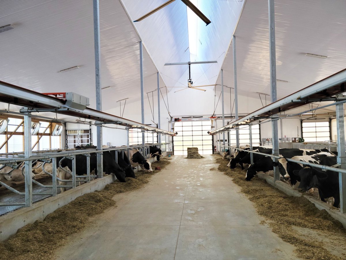 👉 Choose Secco International HVLS fans with high airflow efficiency. Our Big Air PÜRe ceiling fans have an unmatched airflow per consumed watt and cover a very large area.
#innovativefarmingsolutions #dairyfarming #VentilationSystem #ventilation #barn