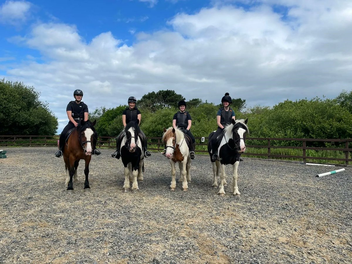 ClyneFarmCentre's tweet photo. The Horses 🐎 

From left to right: Ferne, Warrior, Bert and Tonto. 

These 4 make up our team of horses here at Clyne Farm. 

We also have 6 ponies in our riding school. 

For more info on any of our 10 equine members, visit link in bio!

#Horses #HorseRiding #RidingStables https://t.co/hsbqBGxH9i