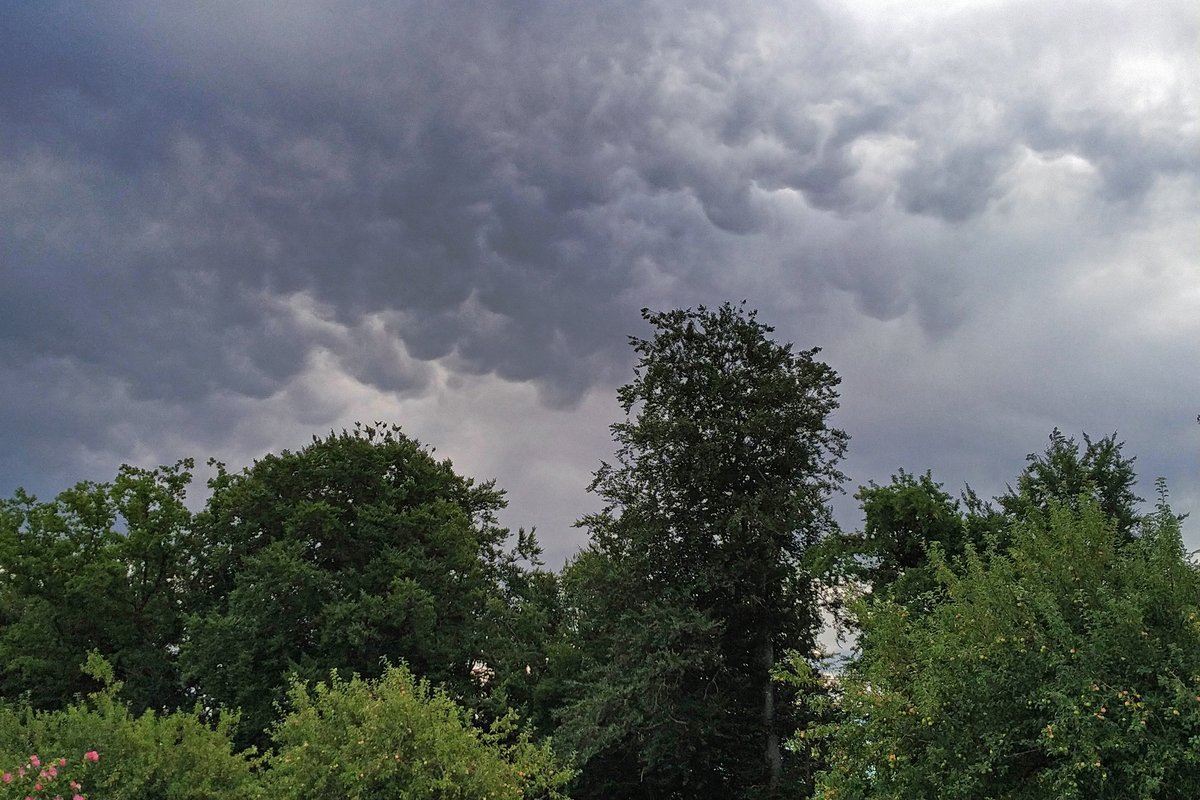 joe_stalder's tweet photo. Mammatus über #Pfyn um 07:30 Uhr @GaudenzF 

ich habe aber nichts von Hängebusen gesagt https://t.co/BgBLQn6QMn