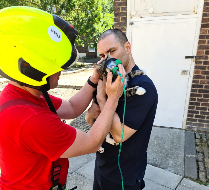 LondonFire tweet picture