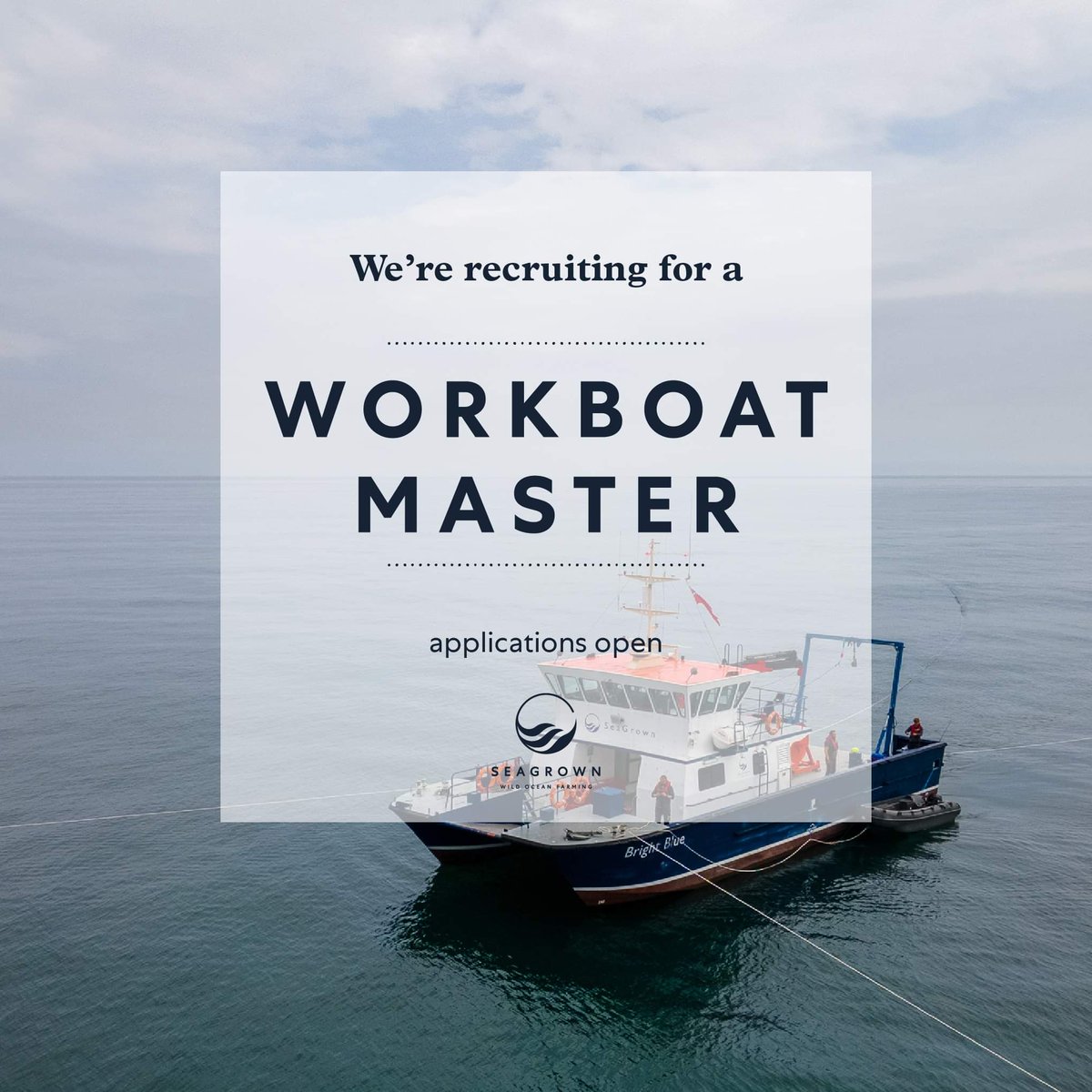 ~ CAREER OPPORTUNITY ~ We are looking for a motivated, proactive Workboat Master to join our team at a forward-looking sustainable seaweed company located on the North Yorkshire Coast. More details: adobe.ly/3RJ3l5M #WildOceanFarming