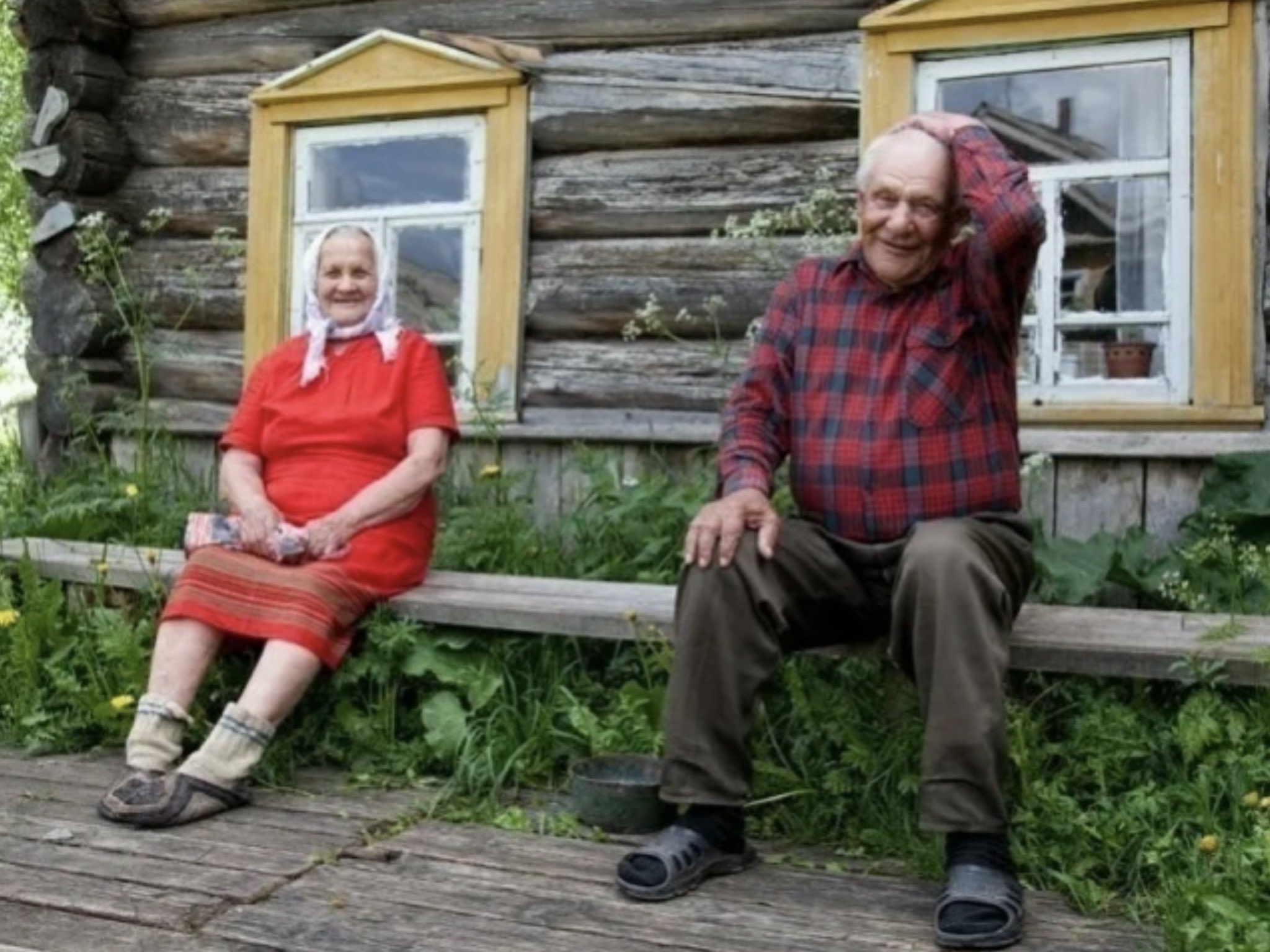 На деревню к дедушке