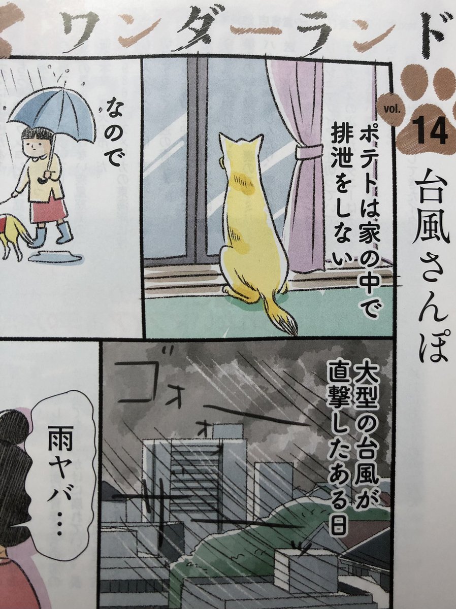 発売中の週刊SPA!に『犬々ワンダーランド』14話目が載ってます。家で排泄をしないポテちゃんは台風の日どうするのか…の巻です 