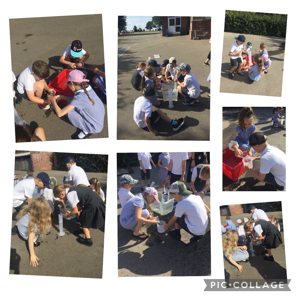 Shotley Zebras tweet media