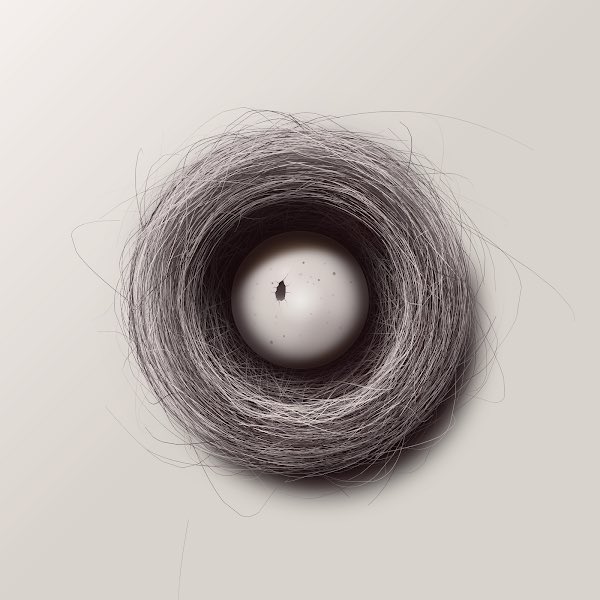 genesis_mint's tweet image. We were surprise to see a zipped egg in the early mints. These are on the rarer side. Mint 4 #nftart #nft #creativecoding #design #generative #generativeart #codeart #creativecodeart #art #processing #algorithmicart #genesis #genesismint