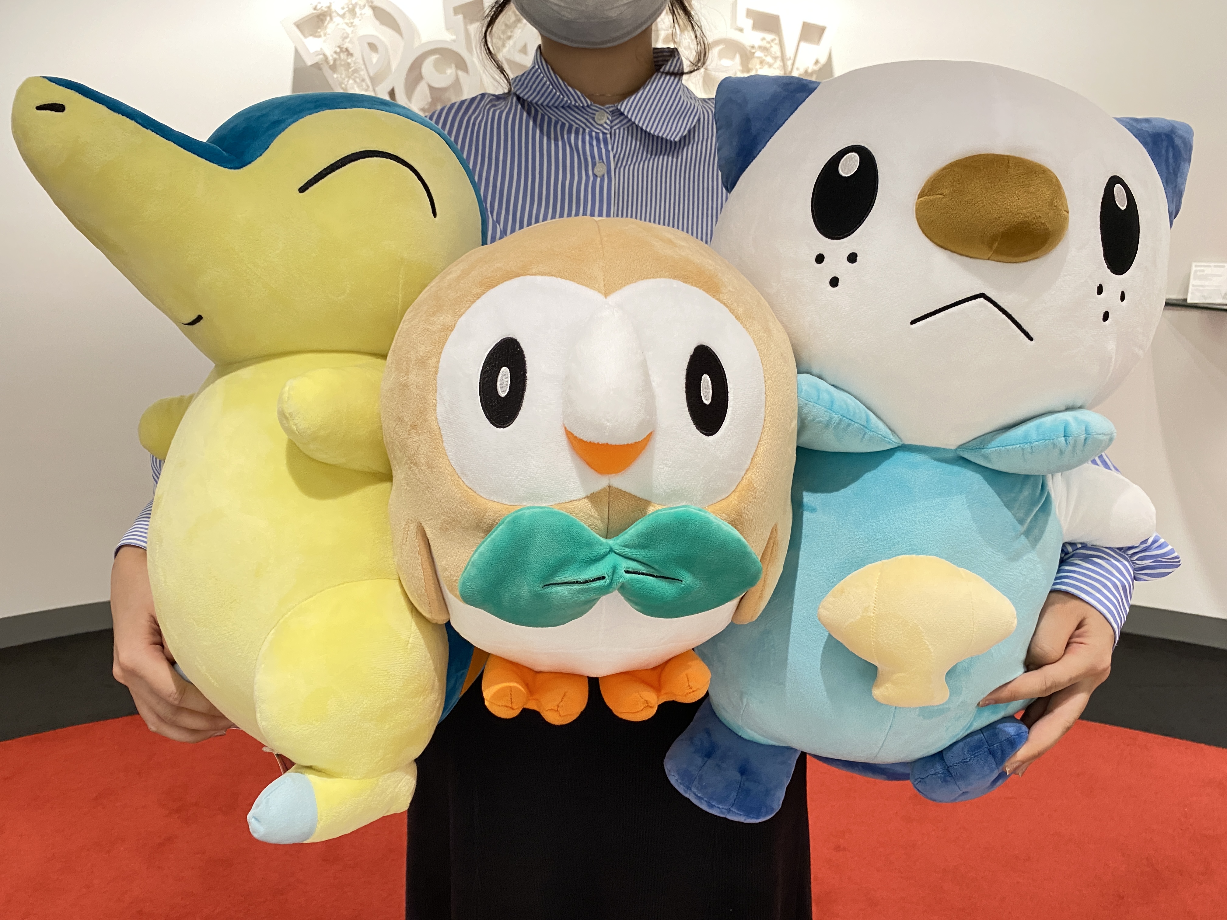 ポケモンだいすきクラブ編集部【公式】 on X: 