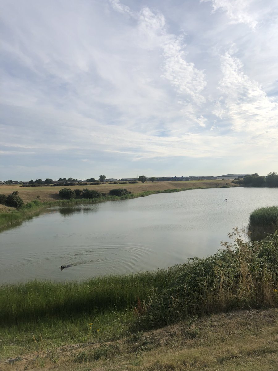 Great dog walk last night and what a fantastic view from the 11th tee!! 
Course playing very hard and fast but still in great condition.
#summergolf #ryegolfclub