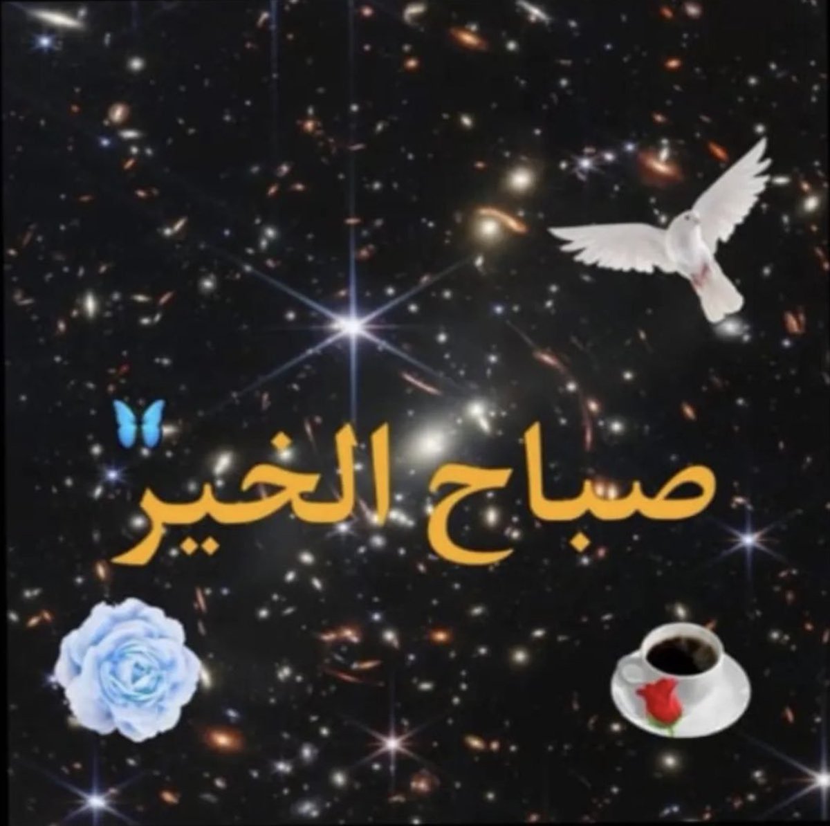 Aliahalaw tweet media