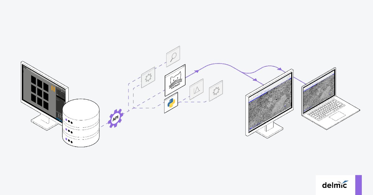 real time audience segmentation techniques with dmp