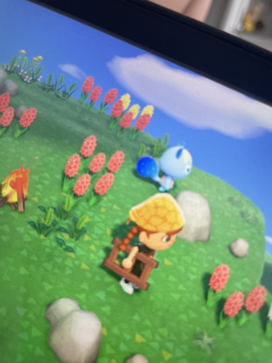 haevengeI's tweet photo. Terra elle est trop belle??? You’re coming home with me #AnimalCrossing #AnimalCrossingNewHorizons #ACNH https://t.co/H7UHlIPLAi