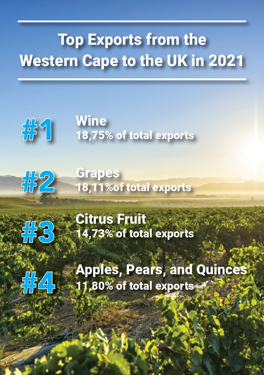 DID YOU KNOW❓ | In 2021, the United Kingdom was the 3rd largest destination market for the Western Cape’s exports. Exports to the UK reached ZAR12.50 billion, with wine representing the largest export. 

#UKWCTradeEvent #CapeConfidence #APlaceOfMore