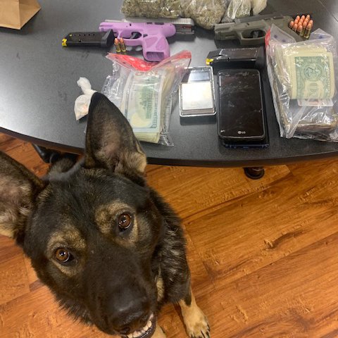 #throwbackthursday with K9 Joney showing off some of his findings!

#pawsofhonor #twoheroesoneleash #jointhepack #onemission #veterinary #veterinarycare #workingdogs #retiredK9 #nonprofit #k9life #gsd #gsdofinstagram