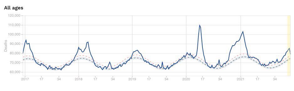 SixandLaura's tweet image. For comparison, #excess_deaths in Europe (2019/2017/2018 -2022)
#pandemic_dynamics (#biennial_severity ?)