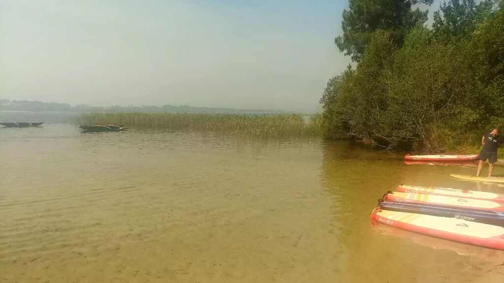 YakOcean's tweet photo. Le vent se lève, la fumée arrive ! 
Nous fermerons si les conditions s'aggravent dans les prochaines heures ... pour votre sécurité 

#sanguinet
#biscagrandslacs
#feuxdeforets #landes https://t.co/dOfN3setuY