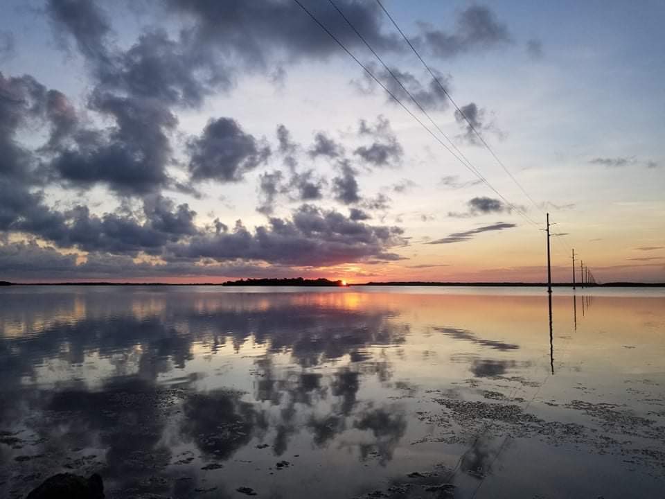 SheriffLeeFL's tweet image. Good morning, #LeeCountyFL 

Enjoy paradise and be safe!