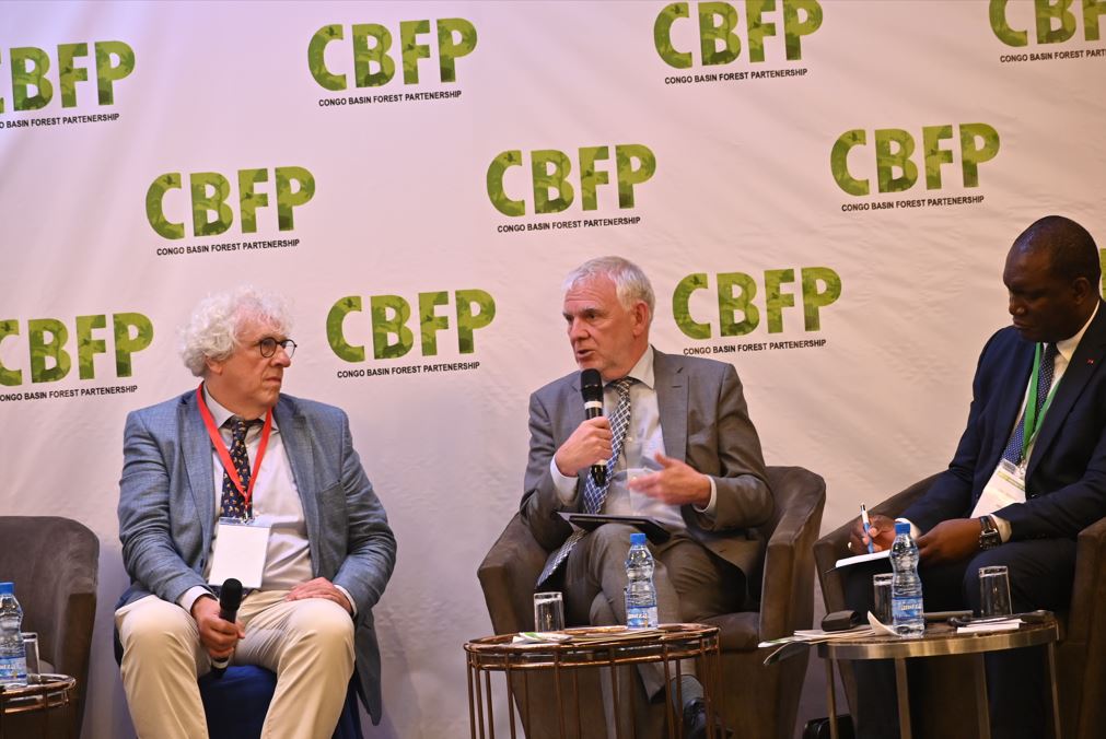 cbfp_pfbc's tweet photo. Meeting of the Congo Basin Forest Partnership in Gabon: #Germany commits #45million euros for the conservation of the #Congo #forest #MOP19 #RDP19
@cbfp_pfbc. That was announced by Development State Secretary Jochen Flasbarth..
https://t.co/yKzXi1V9cq https://t.co/LDZSU3tmZp