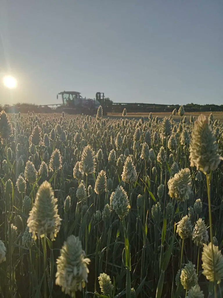 HousehamSprayer's tweet photo. She's a beauty! The Househam AR 4000 36m out in the sun spraying canary seed - captured by Matt Lawman from S & MM Hall, HuntingdonπΎ
#farmphotography #househamsprayers https://t.co/KmK9df4iME