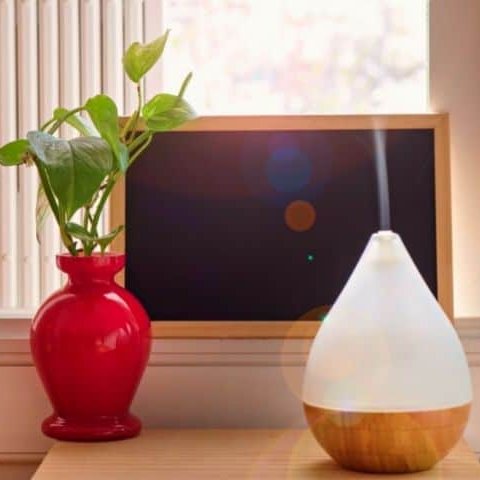 MumsDelivery's tweet image. Your humidifier could very well make things wet if you’re using the incorrect size for the room, or if you’re not measuring your humidity levels and letting it run for too long!

#humidifier #humidifieraustralia #humidifierfacts #automatichumidifier

mumsdelivery.com.au/will-a-humidif…