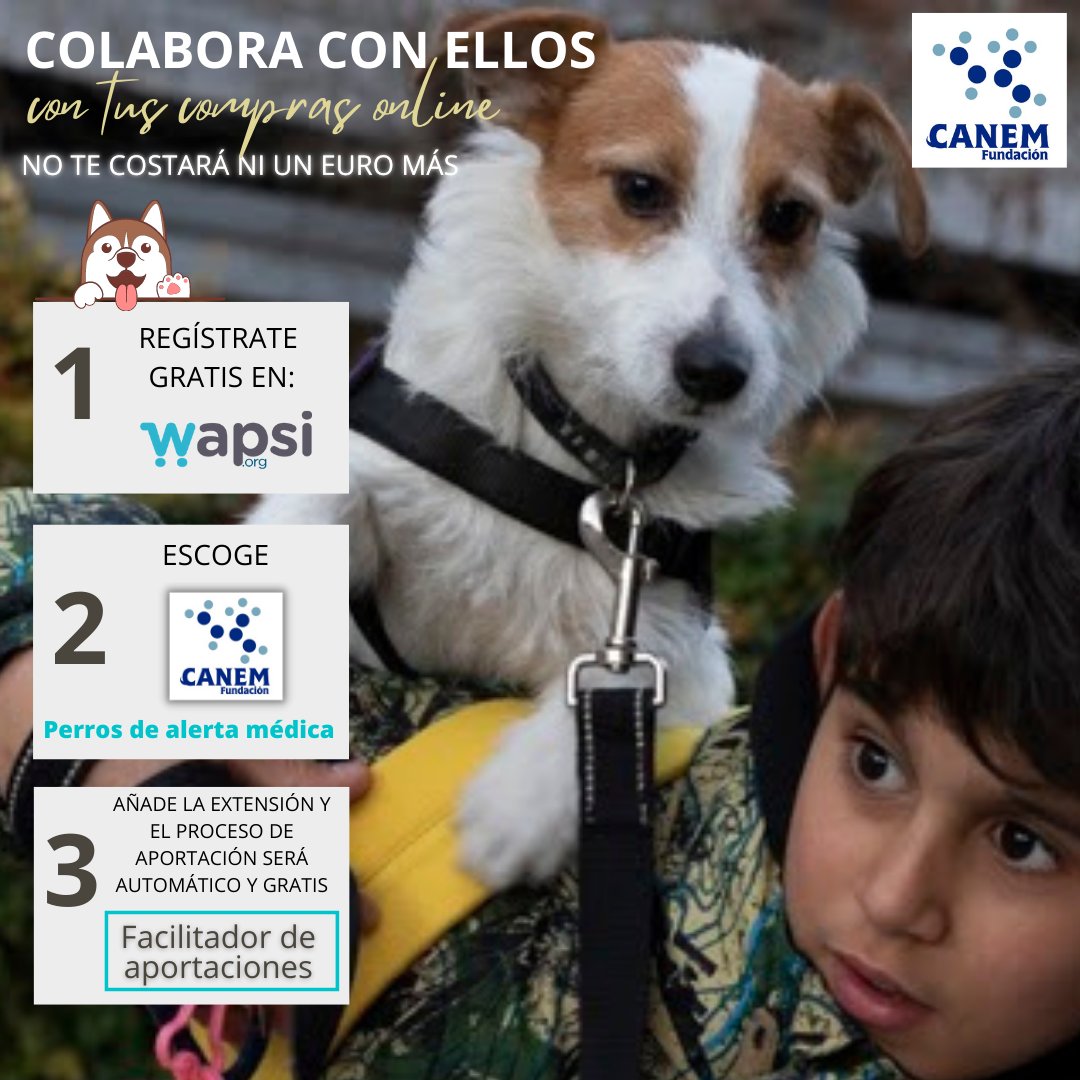 Wapsi 💙 tweet media