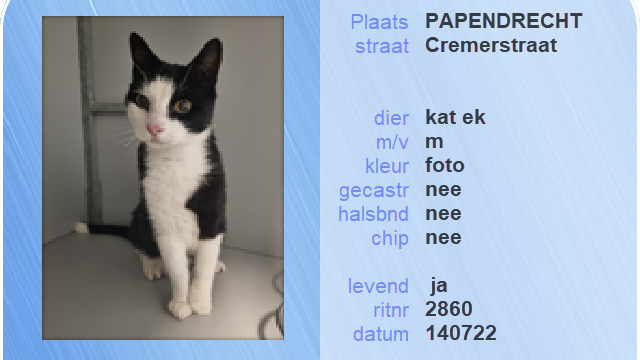 Louterbloemen's tweet photo. Dierenambulance Louterbloemen  -  06 17003200 
#dierenambulance #asiel #louterbloemen #vermist #gevonden #dier #hond #kat #konijn #vogel #drechtsteden #dordrecht #zwijndrecht #papendrecht #sliedrecht #hendrikidoambacht https://t.co/hFlX3JIQSz