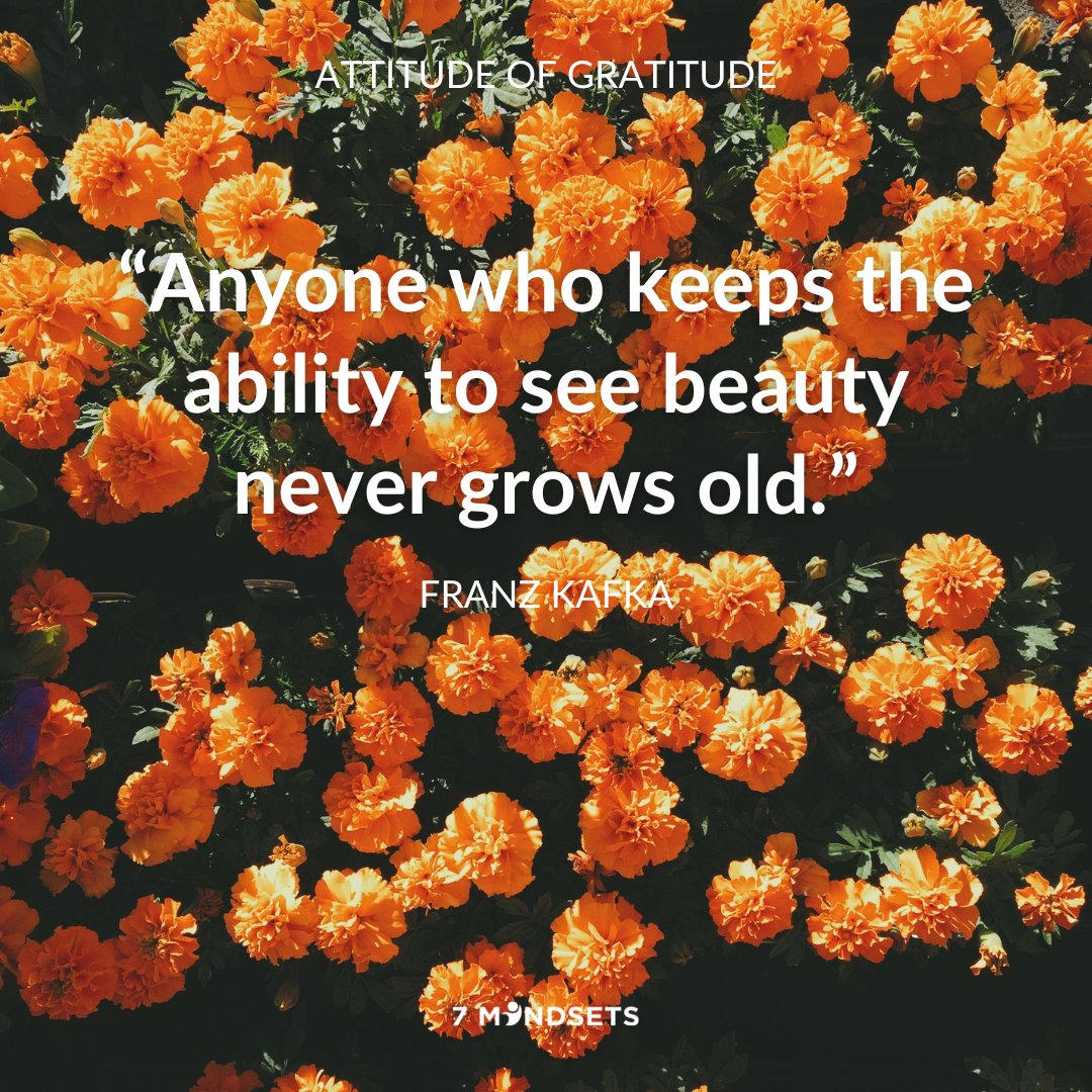 "Anyone who keeps the ability to see beauty never grows old." - Franz Kafka #7Mindsets #SEL #socialemotionallearning #QOTD #morningmindset #attitudeofgratitude