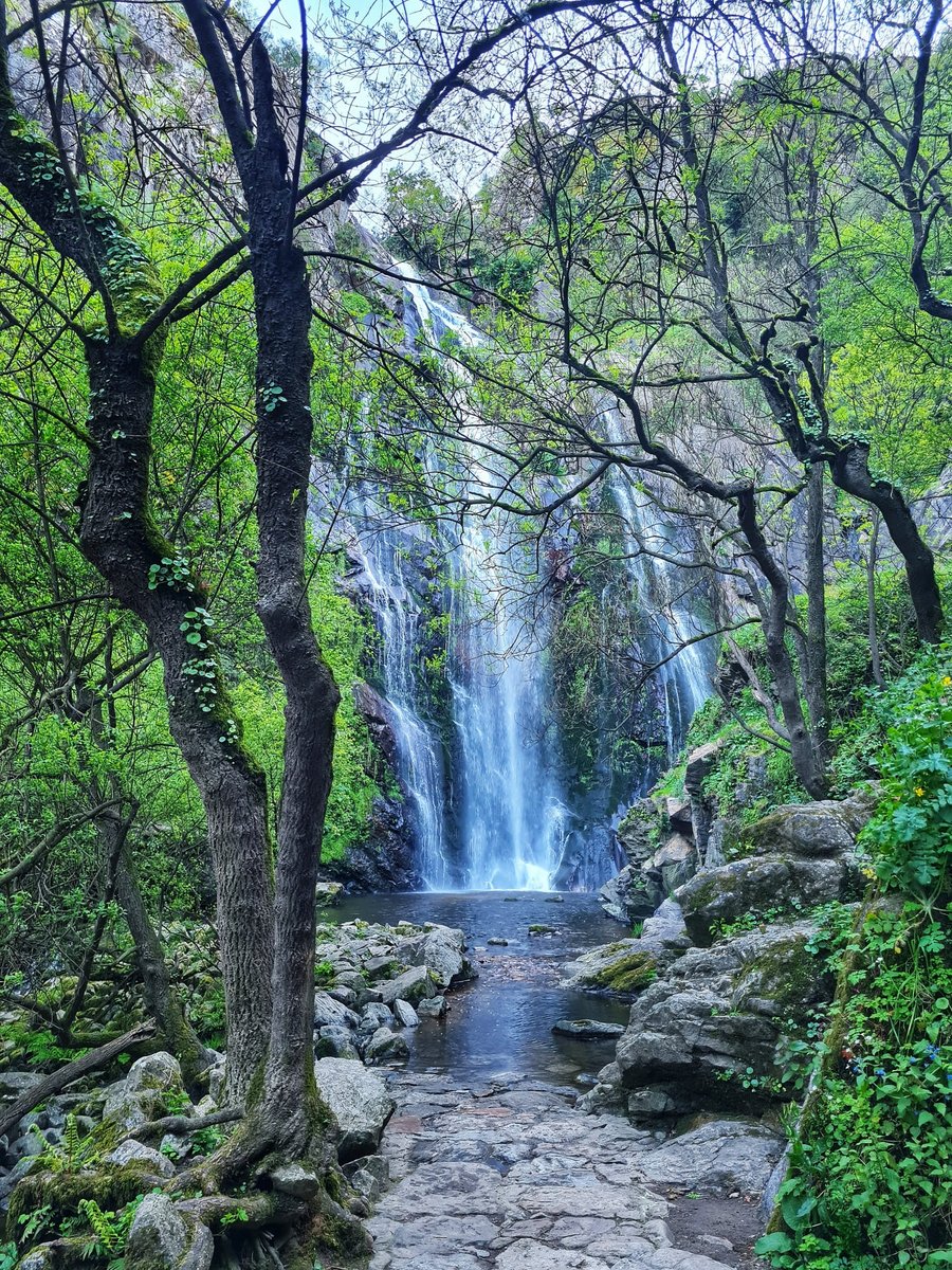 turisriasbaixas's tweet photo. O interior de #PontevedraProvincia tamén é perfecto para unha escapada este verán!!
📍 Fervenza do #Toxa, no @ConcelloSilleda.
#LoveRíasBaixas #RíasBaixas https://t.co/ALS7Ud3mGB