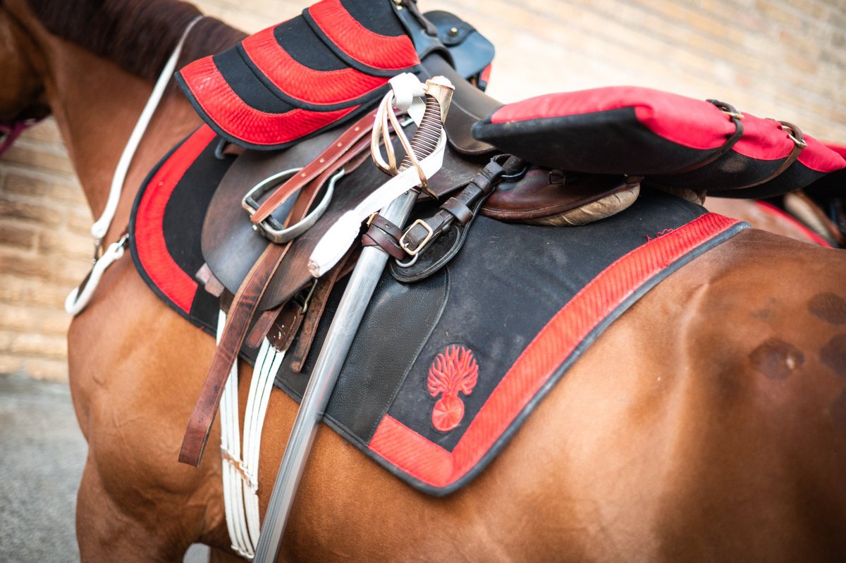 maisonfabre's tweet image. 🇫🇷 A l'occasion du défilé du 14 juillet, les honneurs seront rendus au Président de la République, place de la Concorde par le 1er régiment d’infanterie de la Garde Républicaine.
@maisonfabre a fabriqué plus de 4080 paires de gants blancs à #Millau pour la Garde Républicaine. 🇫🇷