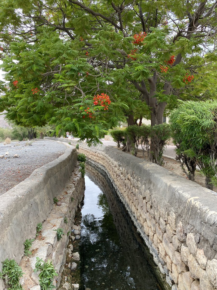 maryam_almamari's tweet photo. أعشق #نزوى بتفاصيلها ، المزيج بين التراث والحداثة فيها شيء يبهر 🌿♥️ https://t.co/YWoxTrtD70