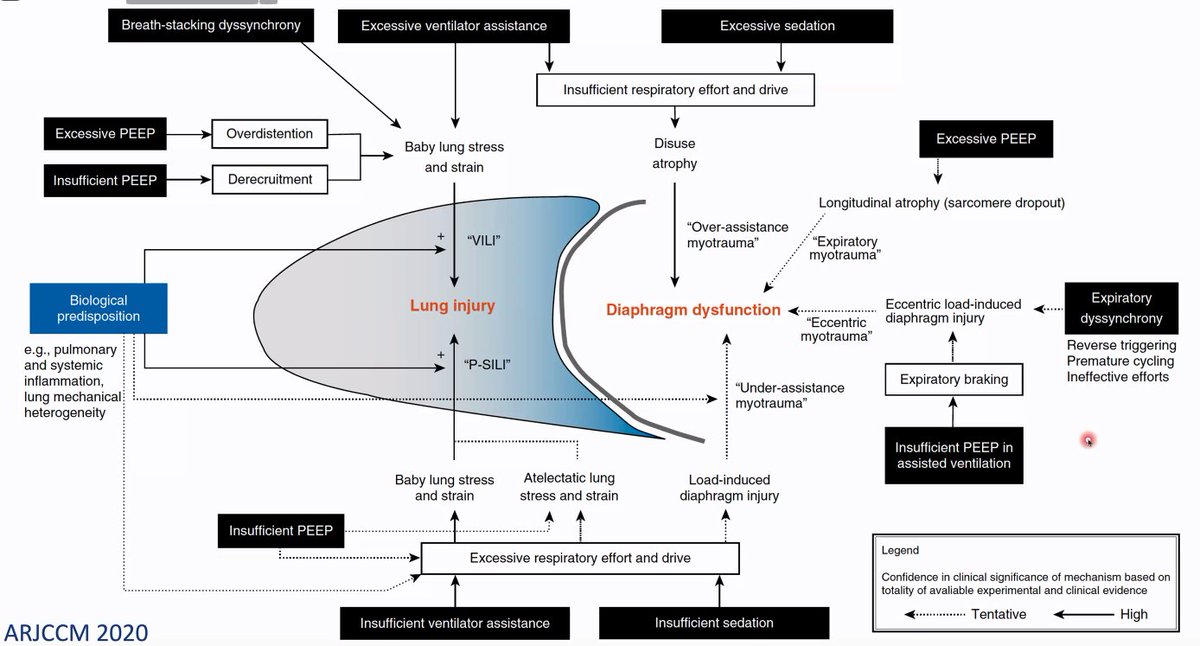 PICJournalWatch's tweet image. .@Martin_Kneyber on #MechanicalPower #MP #VILI
#PedsICU #pARDS #SoMe4MV #WFPICCS22 

We have made ventilation more complicated [because of better understanding of the multiple components now]