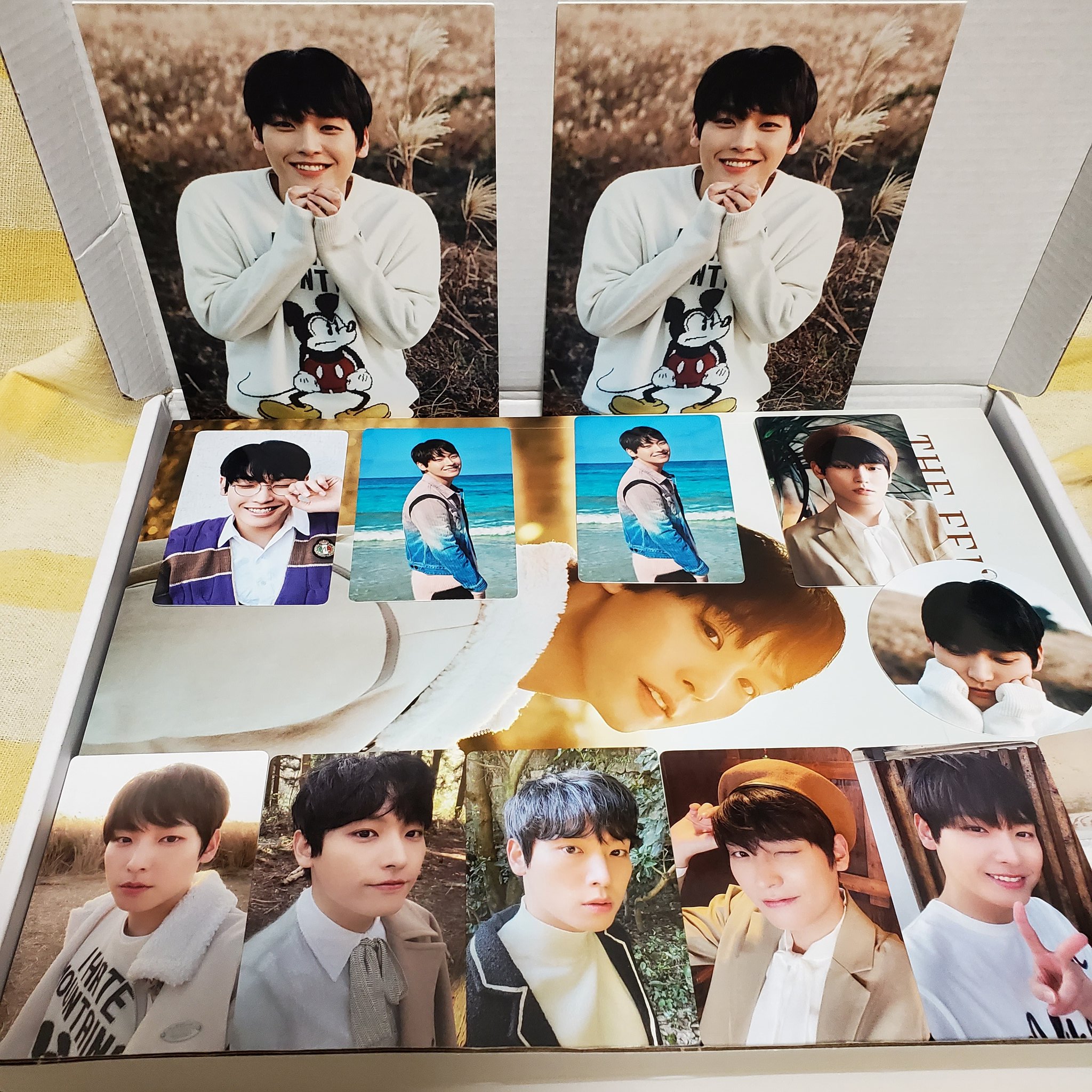特価販売 Sf9インソン 写真集 The Feeling Of Color 新品未開封 K Pop アジア