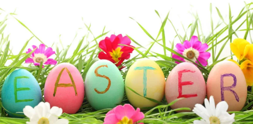 Happy Easter from us all at 78 Crawley Road! 
We hope you have an eggcellent day! 🥚🐰🐣 <a href="/withoutstigma/">SPFT - No longer in use</a> #HappyEaster
