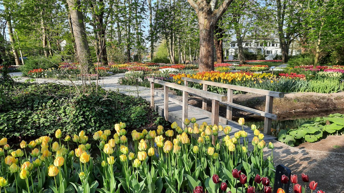 Leefbaarheid Anna Paulowna kan wel een boost gebruiken - regionoordkop.nl/14/07/2022/lee…
#denhelder #hollandskroon